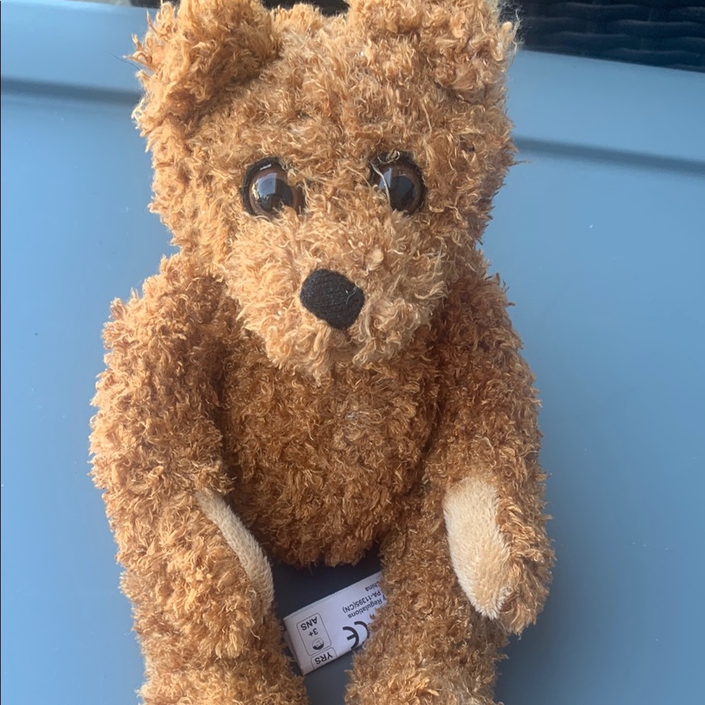Brown Plush Teddy Bear